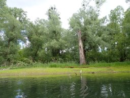 Phillippsbureg, 2 Tage Tour, Mai 2026
